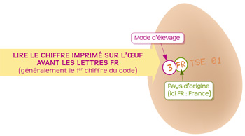 Bien choisir ses oeufs