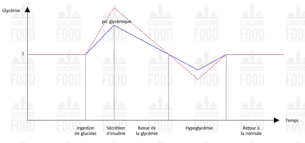 L'impact de l'index glycémique des aliments